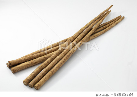 白バックのごぼう 白バックのごぼう 93985534