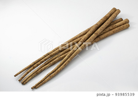 白バックのごぼう 白バックのごぼう 93985539