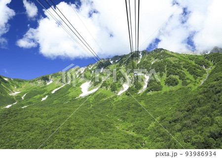 新緑のタンボ平 立山ロープウェイ 新緑のタンボ平 立山ロープウェイ 93986934