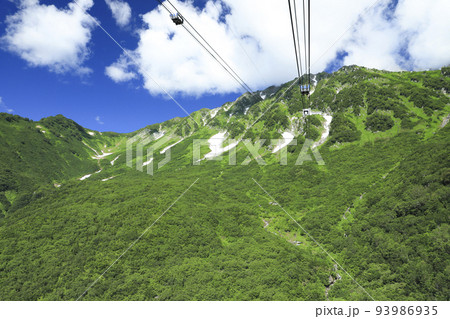 新緑のタンボ平　立山ロープウェイ 93986935