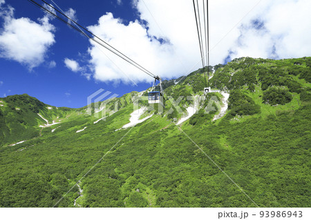 新緑のタンボ平　立山ロープウェイ 93986943
