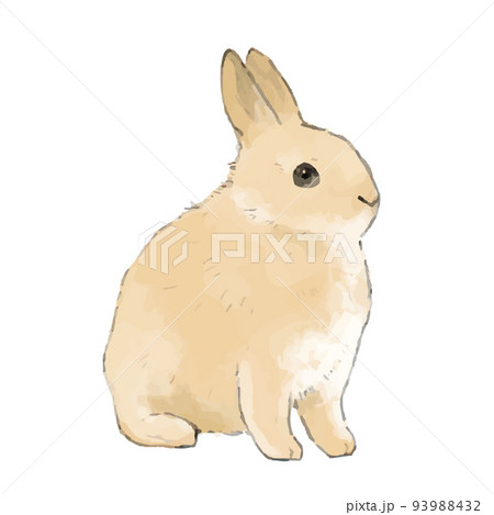 ベージュのうさぎ手描き風イラストのイラスト素材 [93988432