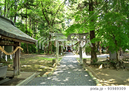 群馬県太田市のパワースポット　生品神社 93989309