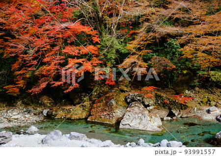 紅葉深まる仁淀川の清流, 仁淀川町, 吾川郡, 高知県, 日本 93991557