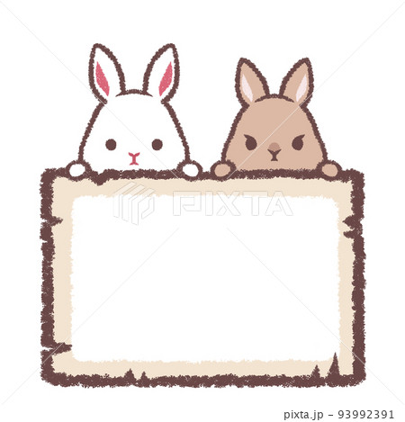 シロウサギとネザーランドドワーフと木のフレーム 93992391
