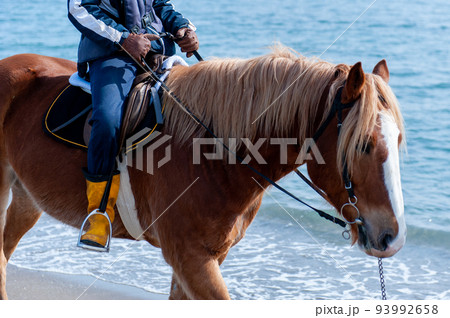 海岸での乗馬　 93992658