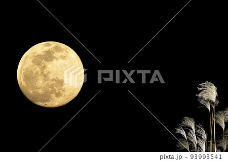 秋、お月見のイメージ。中秋の名月とススキ。 93993541