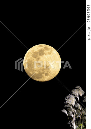 秋、お月見のイメージ。中秋の名月とススキ。 93993543