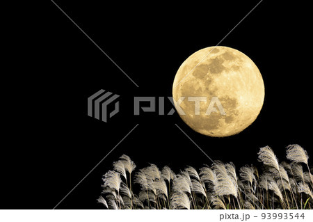 秋、お月見のイメージ。中秋の名月とススキ。 93993544