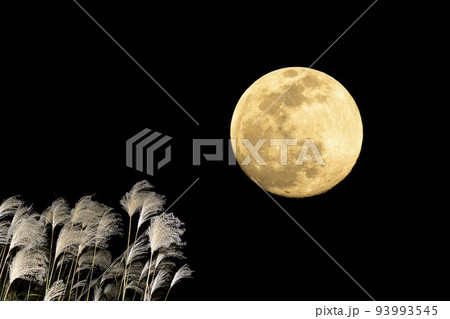 秋、お月見のイメージ。中秋の名月とススキ。 93993545