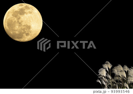 秋、お月見のイメージ。中秋の名月とススキ。 93993546