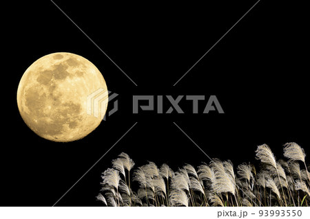 秋、お月見のイメージ。中秋の名月とススキ。 93993550