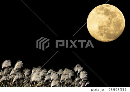 秋、お月見のイメージ。中秋の名月とススキ。 93993551
