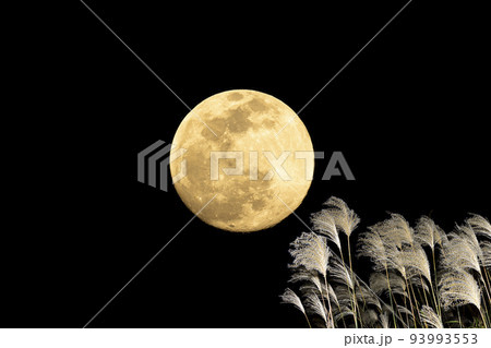 秋、お月見のイメージ。中秋の名月とススキ。 93993553