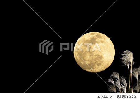 秋、お月見のイメージ。中秋の名月とススキ。 93993555