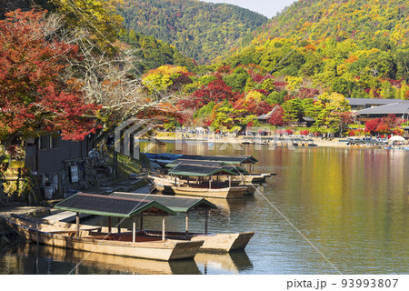 秋の嵐山　遊覧船乗りばの屋形船 93993807