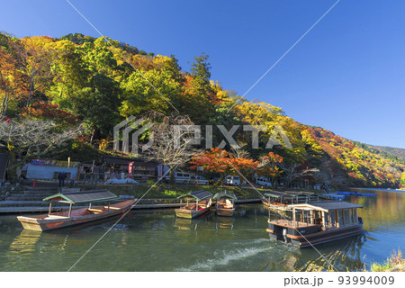 秋の嵐山　遊覧船乗りばの屋形船 93994009