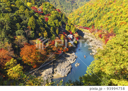 嵐山公園展望台から望む秋の嵐山 の写真素材 [93994758] - PIXTA