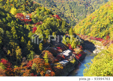 嵐山公園展望台から望む秋の嵐山 嵐山公園展望台から望む秋の嵐山 93994763