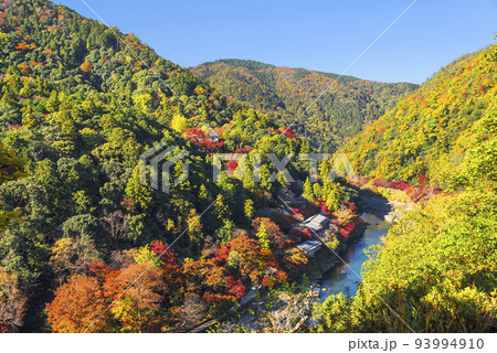 嵐山公園展望台から望む秋の嵐山 93994910