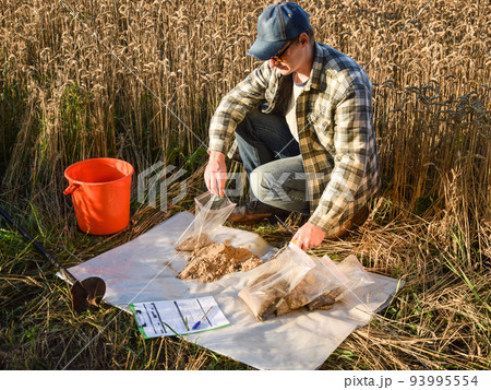Agronomist preparing soil samples for laboratory analysis outdoors 93995554