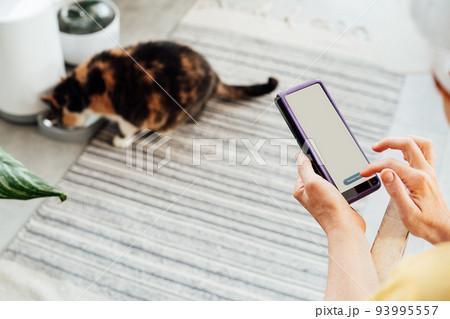 Female hands holding smartphone and using application to control cat food dispenser. Cat eating from smart feeder in cozy home interior on background. Home life with a pet. Healthy pet food diet. Female hands holding smartphone and using application to control cat food dispenser. Cat eating from smart feeder in cozy home interior on background. Home life with a pet. Healthy pet food diet. 93995557