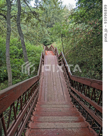 Old wooden stairway in forest, nature trail in reserve. Brown stairs among plants. Cloudy summer day. High quality photo 93996899