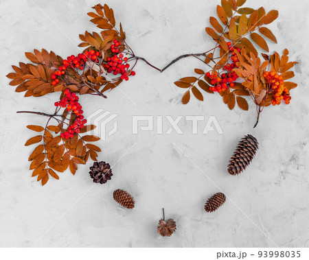 Autumn composition in the form of a heart made of branches and berries of mountain ash, clones. Frame with natural gifts of the forest on a gray concrete background. Thanksgiving Day. Space for text. Autumn composition in the form of a heart made of branches and berries of mountain ash, clones. Frame with natural gifts of the forest on a gray concrete background. Thanksgiving Day. Space for text. 93998035