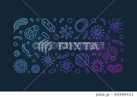 Vector Coronavirinae concept linear colorful horizontal banner 93999411