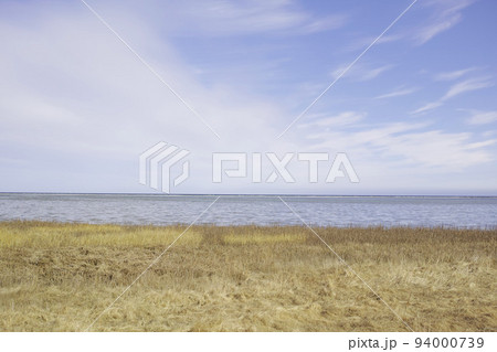 Landscape of sea, lake or lagoon against a sky background with copy space. Gulf with reeds and wild grass growing on empty coast in Norway. Peaceful, calm and beautiful scenic location in nature 94000739