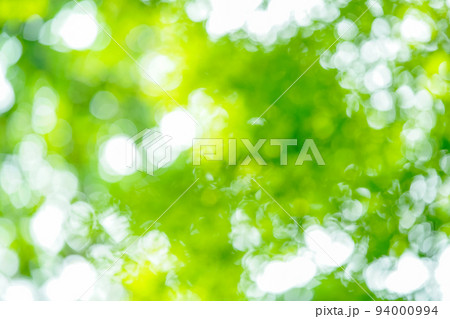 玉ボケ・丸ボケ( 森の木々) 玉ボケ・丸ボケ( 森の木々) 94000994