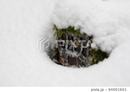 Close-up of camera trap covered in snow during wintertime. 94001601