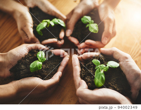 Nature, sustainability and earth soil growth showing teamwork, green energy and a eco friendly environment. Save the planet and environmental development with clean net zero carbon footprint together 94002349
