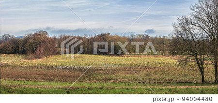 Farmland with grassy meadows and forest trees with a cloudy blue sky copy space. Landscape with green grass and brown leaf trees during Autumn. Relaxing view of remote grassland in the countryside Farmland with grassy meadows and forest trees with a cloudy blue sky copy space. Landscape with green grass and brown leaf trees during Autumn. Relaxing view of remote grassland in the countryside 94004480