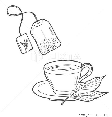 Tea leaves sketch green tea leaf for package  Stock Illustration  64843180  PIXTA