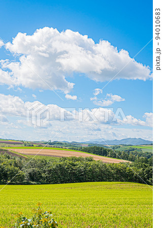 美瑛の風景 94010683