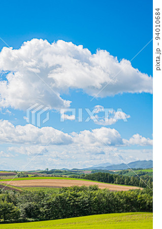 美瑛の風景 94010684