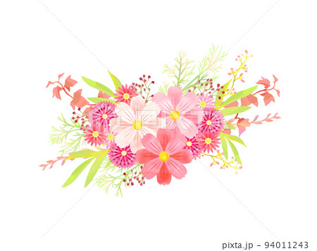 コスモスと秋の花のイラストのイラスト素材