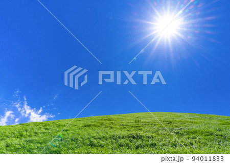 静岡県伊東市 夏のさくらの里 大室山 静岡県伊東市 夏のさくらの里 大室山 94011833