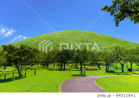 静岡県伊東市 夏のさくらの里 大室山 静岡県伊東市 夏のさくらの里 大室山 94011841