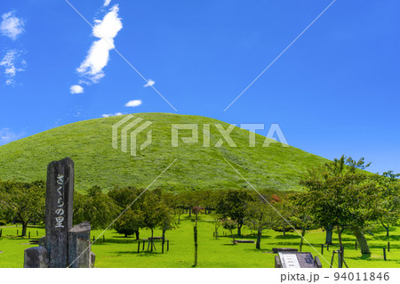 静岡県伊東市 夏のさくらの里 大室山 静岡県伊東市 夏のさくらの里 大室山 94011846