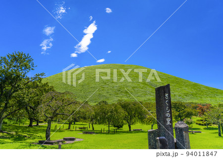 静岡県伊東市　夏のさくらの里　大室山 94011847