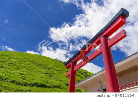静岡県伊東市　大室山 94011954