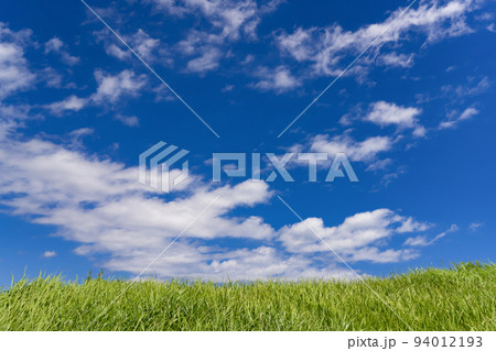 静岡県伊東市 大室山 静岡県伊東市 大室山 94012193