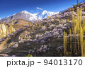 Colorful cherry blossoms blooming in spring on beautiful mountain background. 94013170