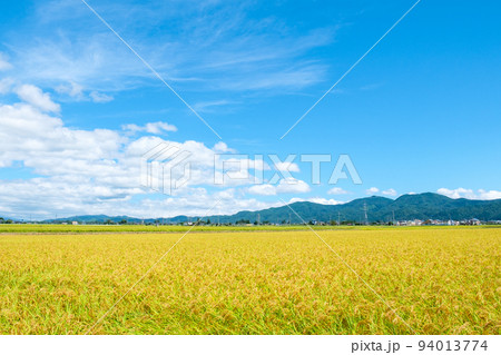 秋の田園風景 秋の田園風景 94013774