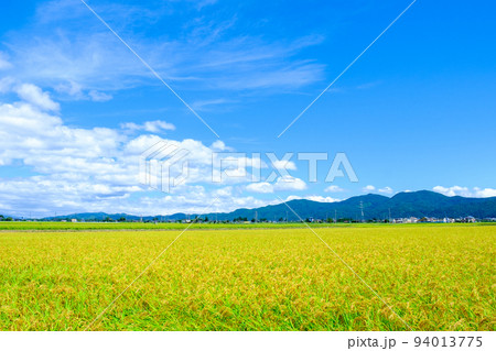 秋の田園風景 94013775