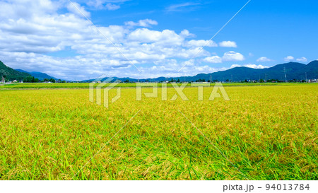 秋の田園風景 秋の田園風景 94013784