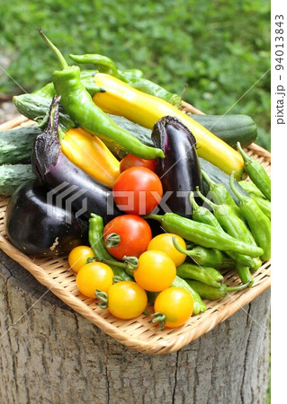 採れたて新鮮な緑黄色野菜のザル盛り、家庭菜園 94013843