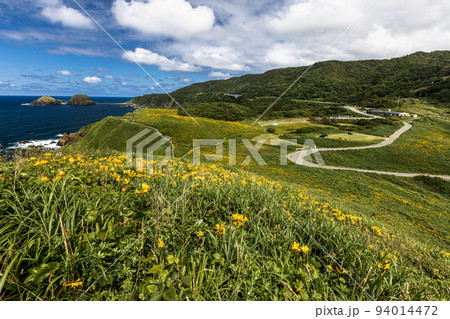 【新潟県･佐渡】花の島　大野亀　5月～6月 94014472